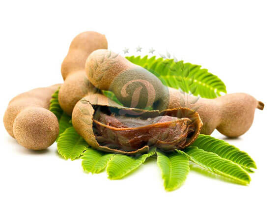 CARBOXY-METHYL-TAMARIND-POWDER.jpg